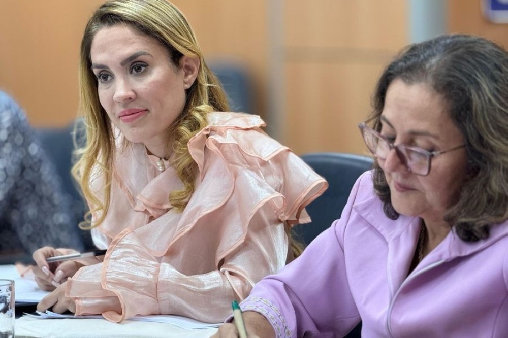 Vereadoras de Rondonópolis solicitam implantação da Casa da Mulher Brasileira no município 